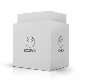 boxbox-dettachee-1