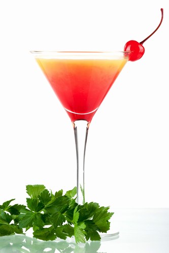 degustation-cocktail-dettachee-6