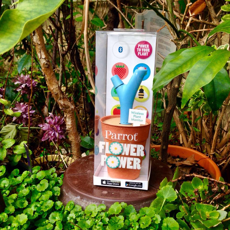flower-power-parrot-dettachee-6