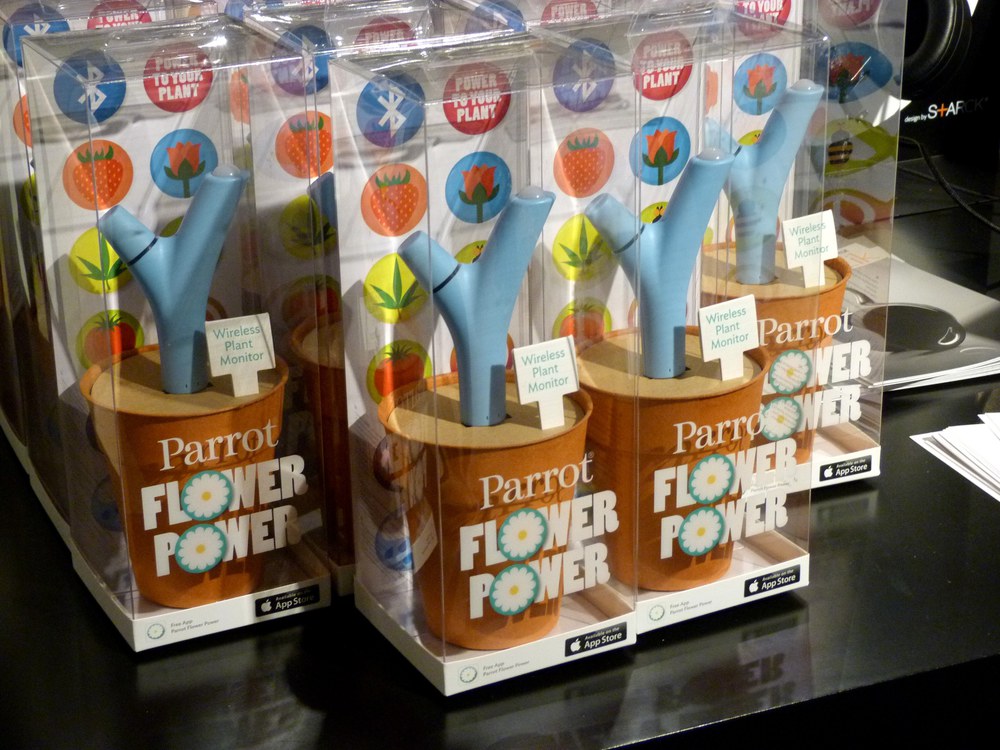 flower-power-parrot-dettachee-8