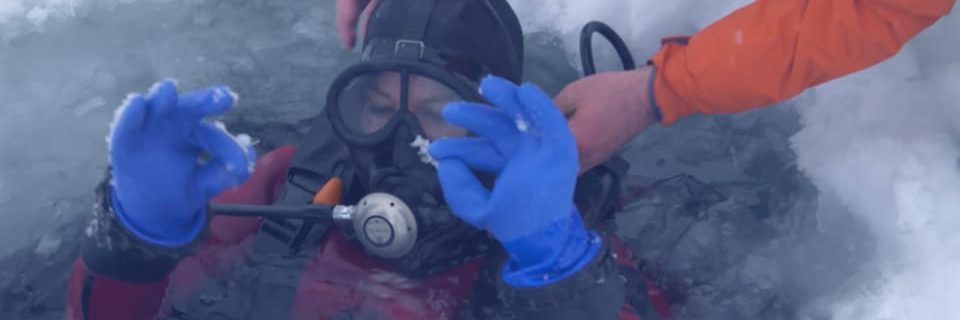 On a testé pour vous… la plongée sous glace