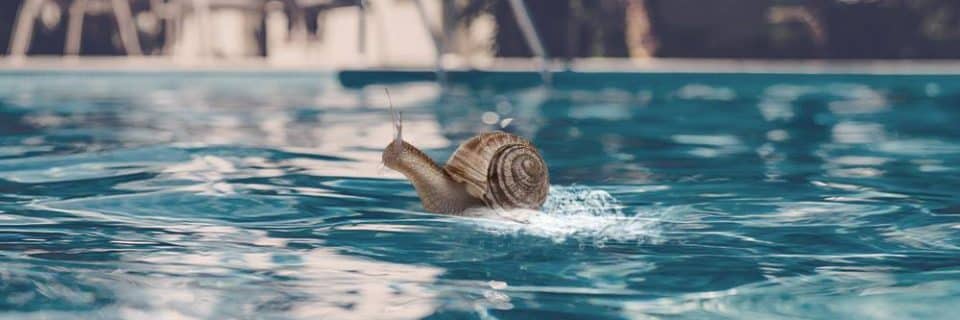 Je reviens du futur, la bave d’escargot rend beau/belle !