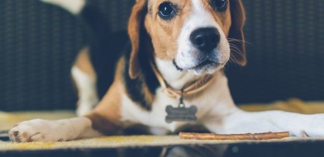 TOP 10 des beaux évènements à venir (à noter dans l’agenda)