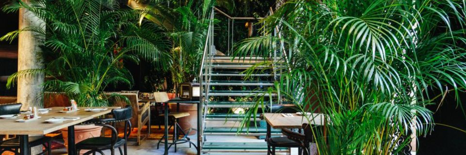 Direction « Après » : le restaurant « Jungle » du Kube hôtel Paris